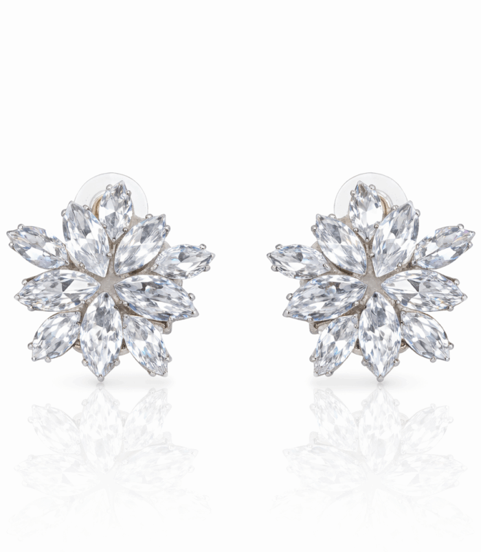 BC4A4F29-7AD4-4914-876B-E43C403FC8E9